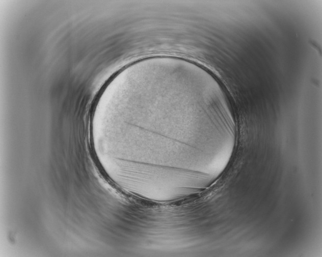 X0000102011515200808151239