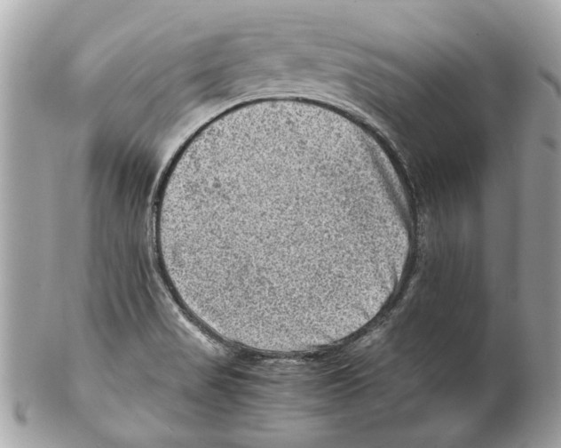 X0000102011517200808151239