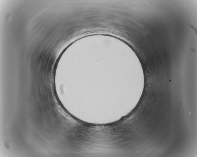 X0000102011518200808151239