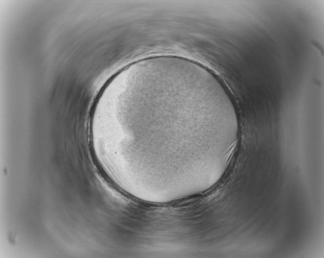 X0000102011519200808151239