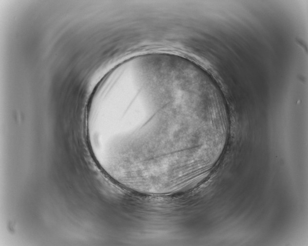 X0000102011520200808151239