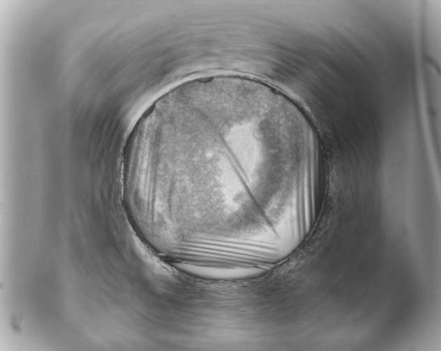 X0000102011524200808151239