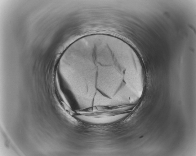 X0000102011525200808151239