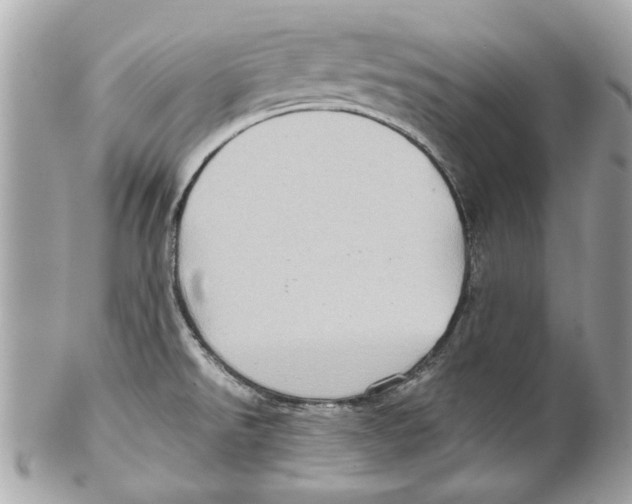 X0000102011526200808151239