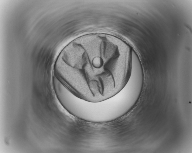 X0000102011528200808151239