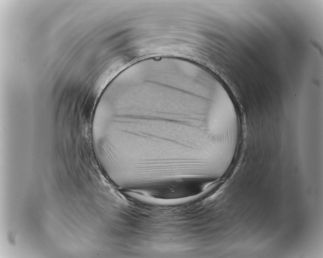 X0000102011529200808151239