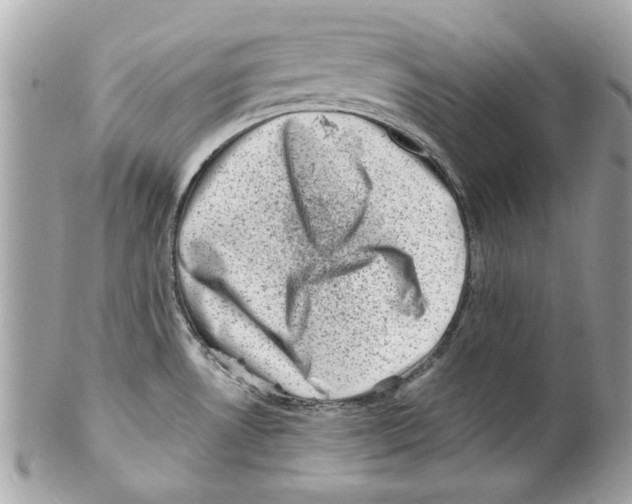 X0000102011530200808151240