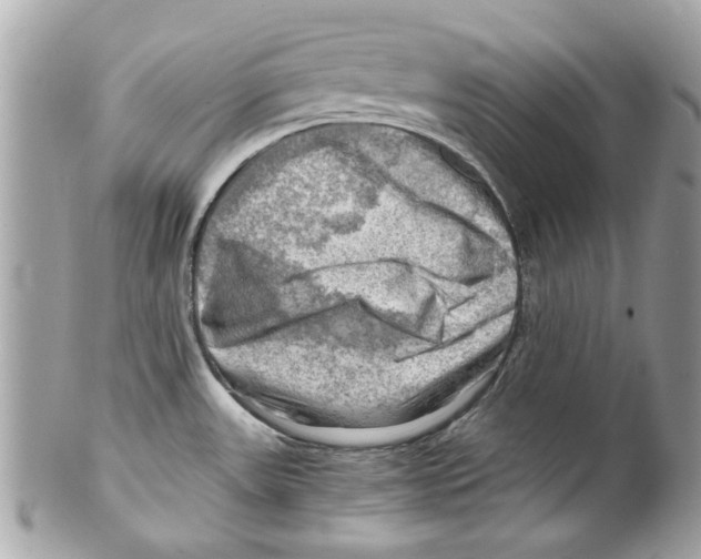 X0000102011531200808151240