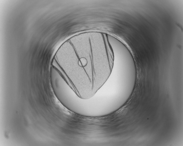 X0000102011532200808151240