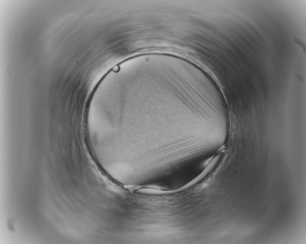 X0000102011533200808151240