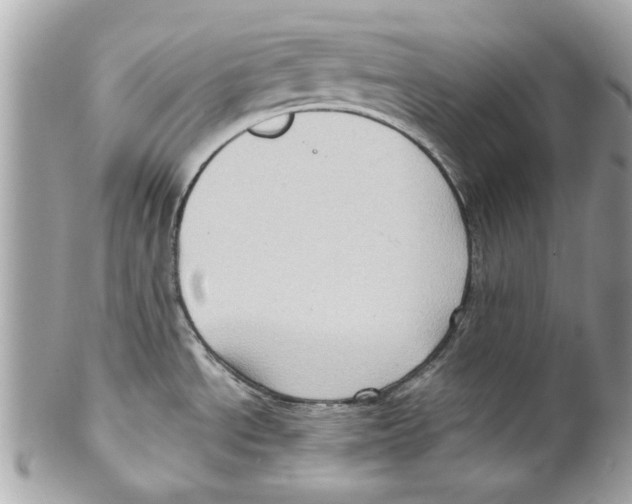 X0000102011534200808151240