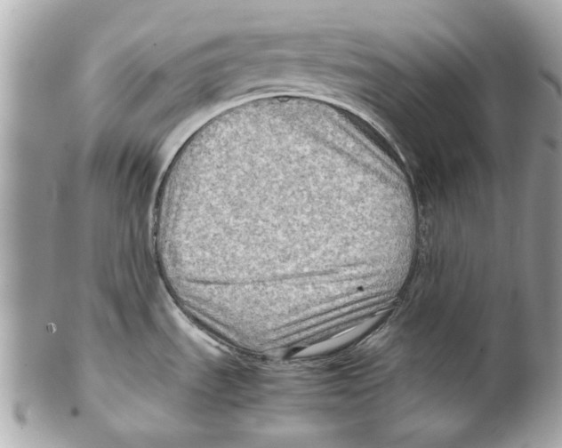 X0000102011535200808151240