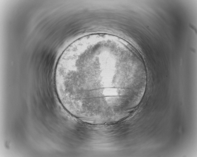 X0000102011536200808151240