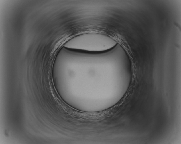 X0000102020001200807180954