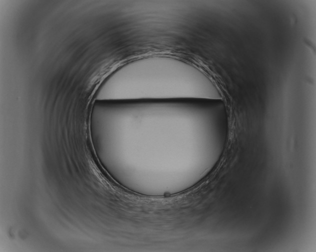 X0000102020002200807180954
