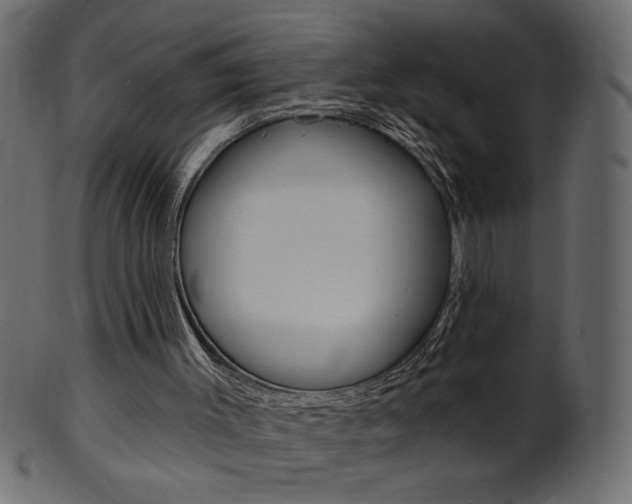 X0000102020003200807180954