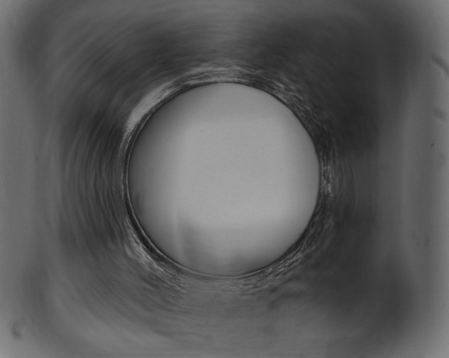 X0000102020004200807180954