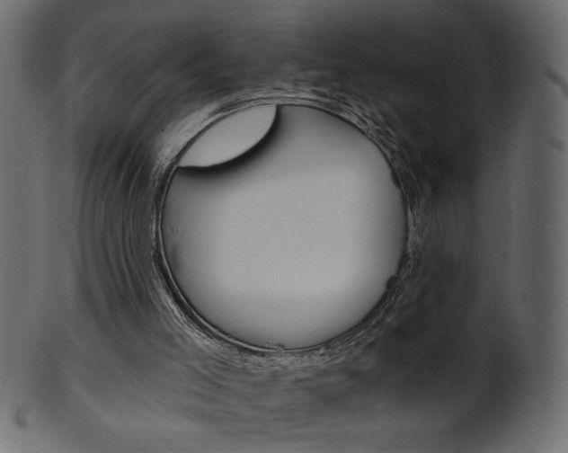 X0000102020005200807180954
