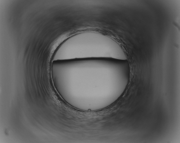 X0000102020006200807180954
