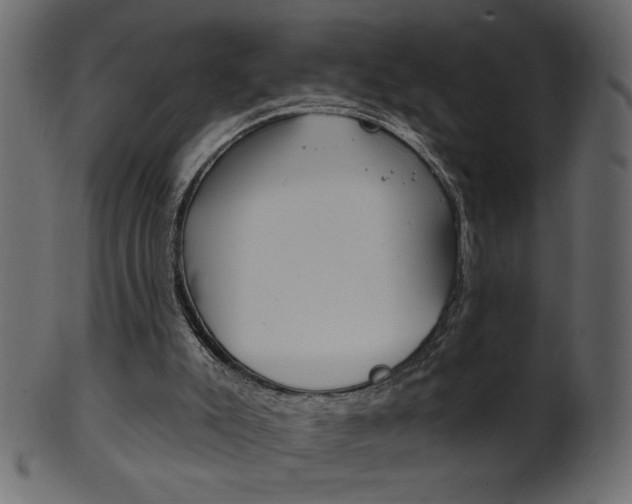 X0000102020007200807180954