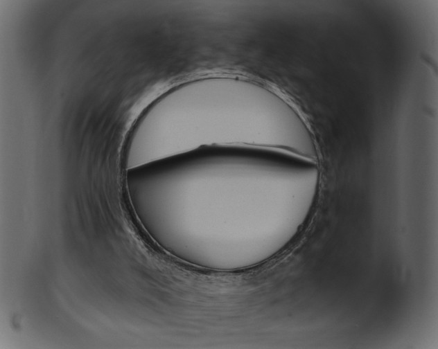 X0000102020008200807180954