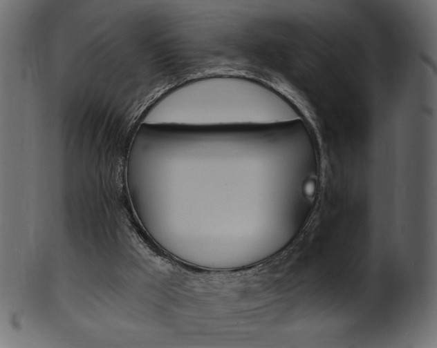 X0000102020009200807180954