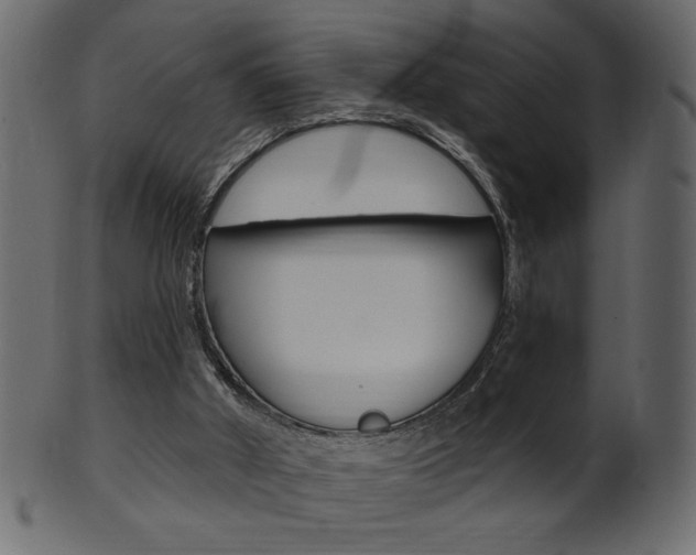 X0000102020010200807180954