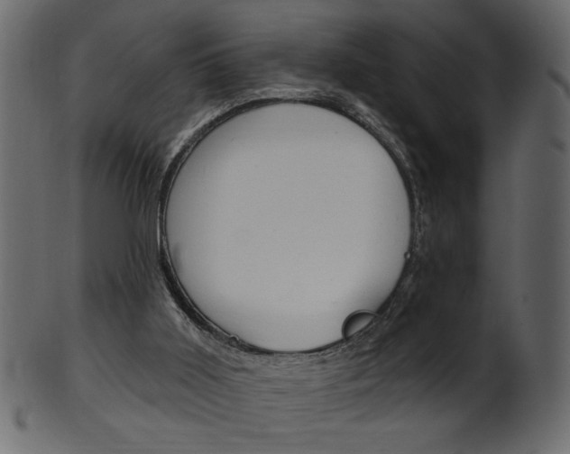 X0000102020011200807180954