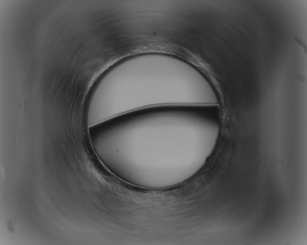 X0000102020012200807180954