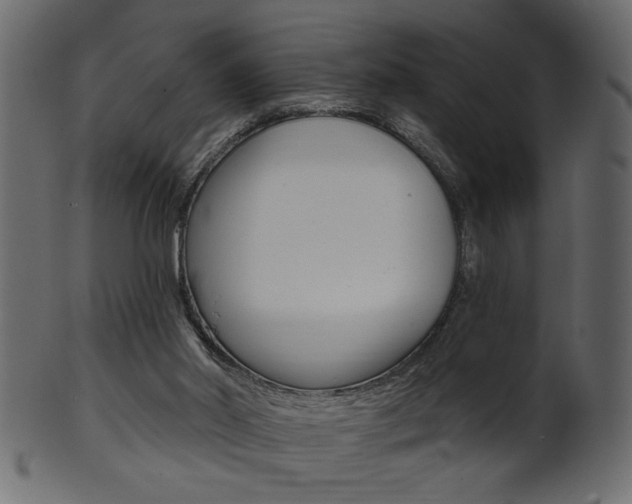 X0000102020014200807180954