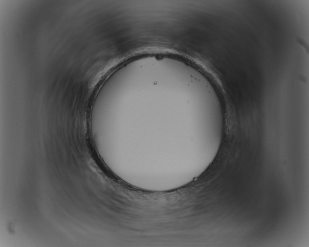 X0000102020015200807180954