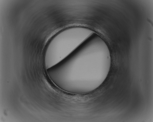 X0000102020016200807180954