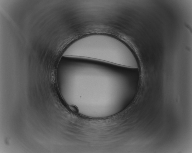 X0000102020017200807180954