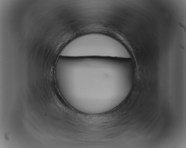 X0000102020018200807180954
