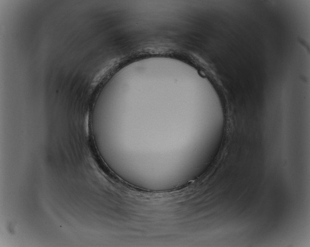 X0000102020019200807180953