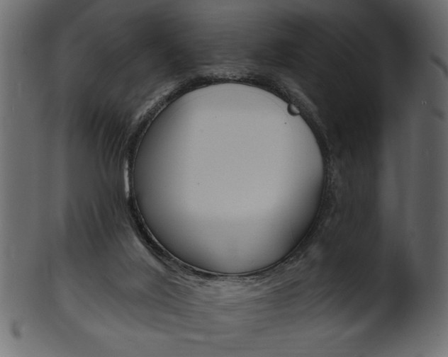 X0000102020020200807180953