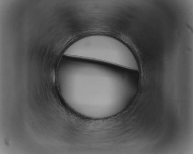 X0000102020021200807180953