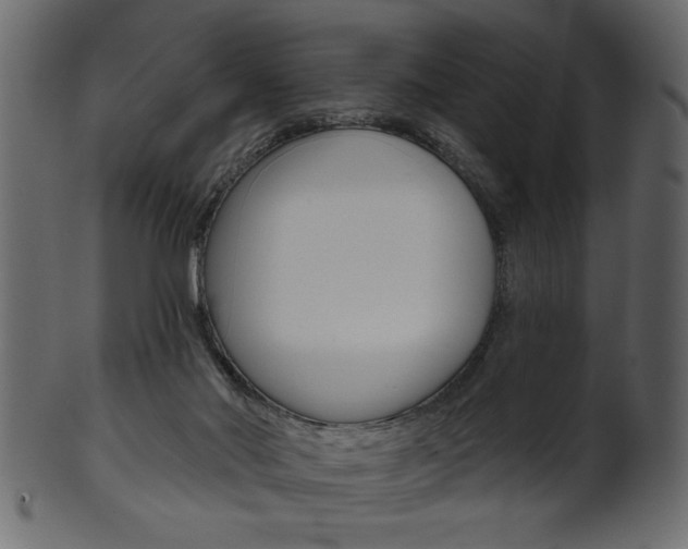 X0000102020022200807180953