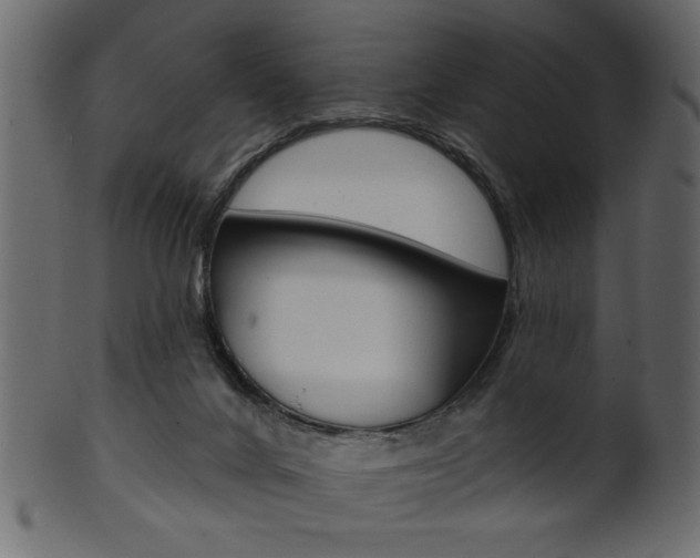 X0000102020024200807180953