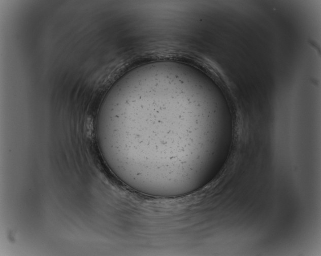 X0000102020025200807180953