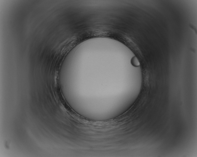X0000102020026200807180953