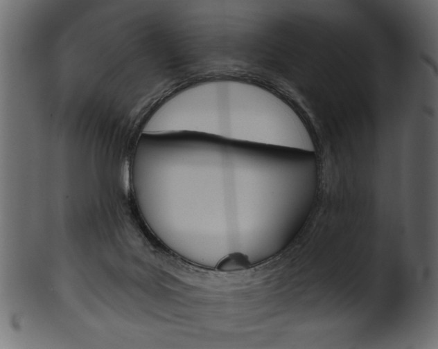 X0000102020027200807180953