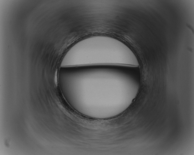 X0000102020028200807180953