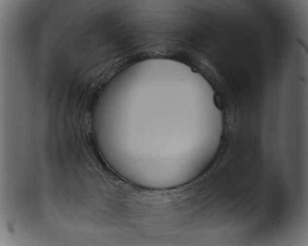 X0000102020029200807180953