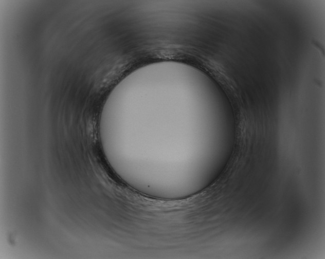 X0000102020031200807180953