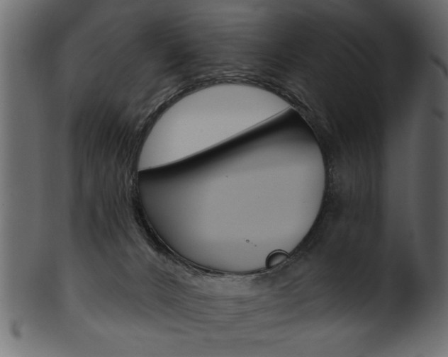 X0000102020032200807180953