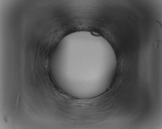 X0000102020033200807180953