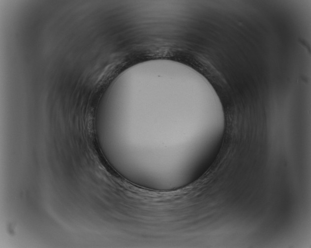 X0000102020035200807180953