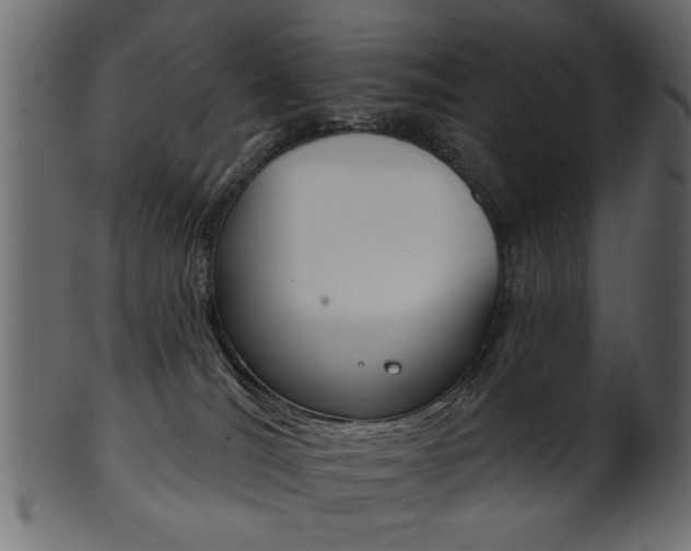 X0000102020036200807180953