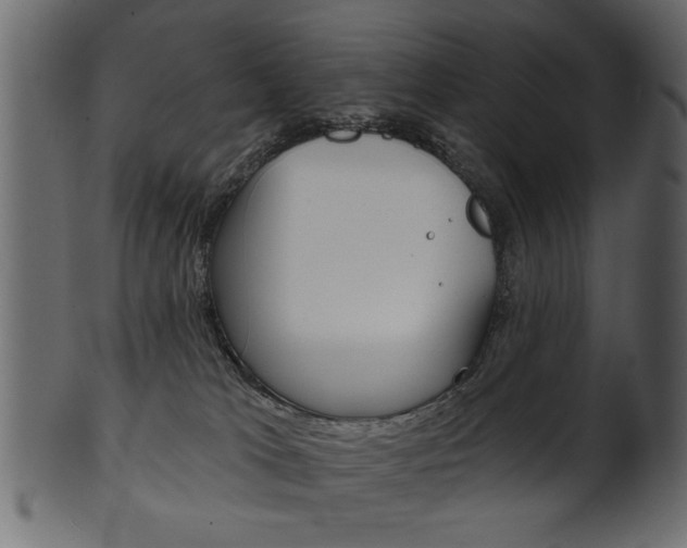 X0000102020037200807180953